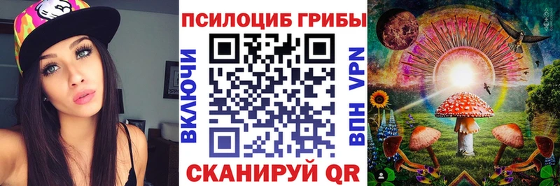 Псилоцибиновые грибы Cubensis  Чехов 